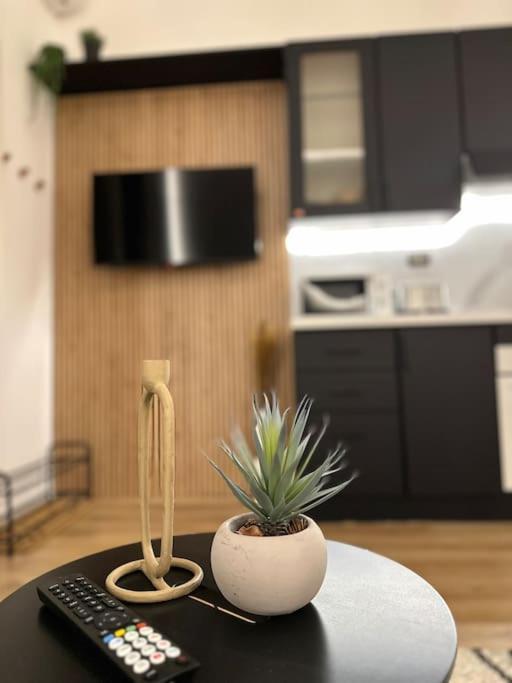 La Casa Di Marlu - Gorgeous Flat In Catania Centre Apartment ภายนอก รูปภาพ